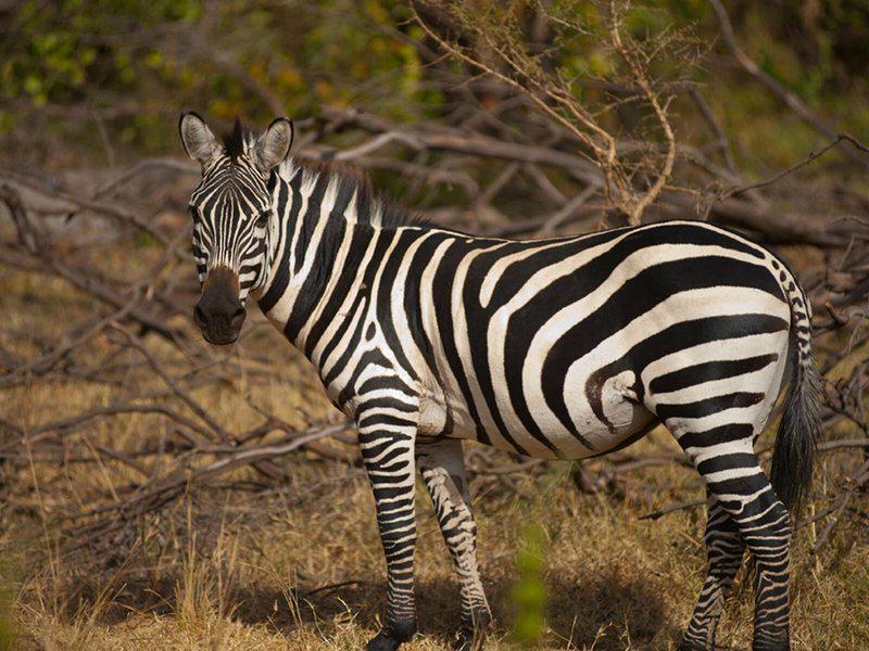 6D43A40429FFE38F1FF18F7399118CDA