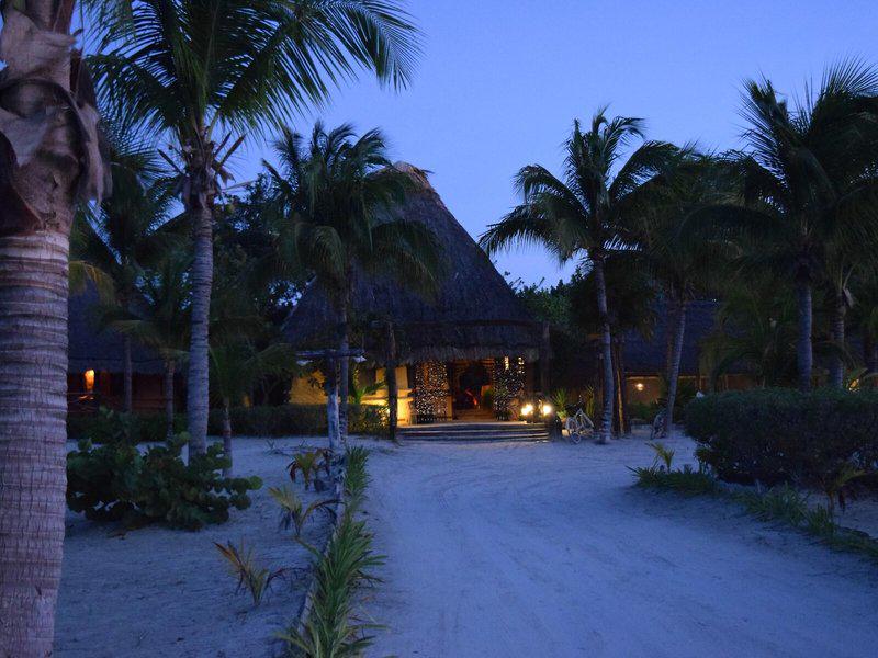 B82CB33FAED86BAA8DB1614A14D389A9