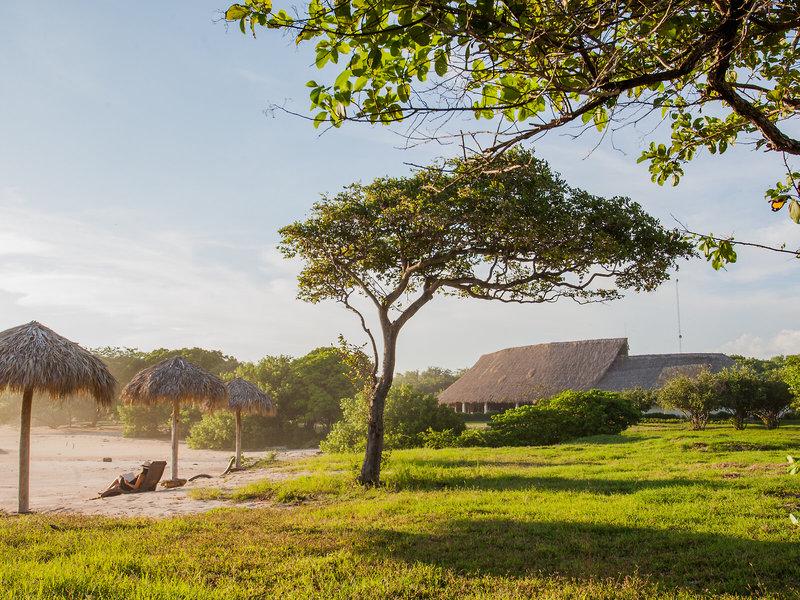 34D148A2A7BAE2BEB4E7E8A075DC89D2