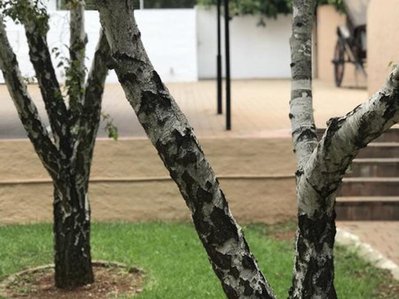 0721FA04DB81626A3B1CE74C71B1CC5C