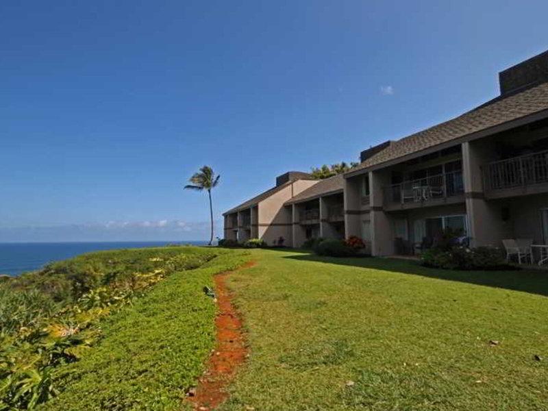 AFA98492D891E83DCFC8E44E79AF3C5B