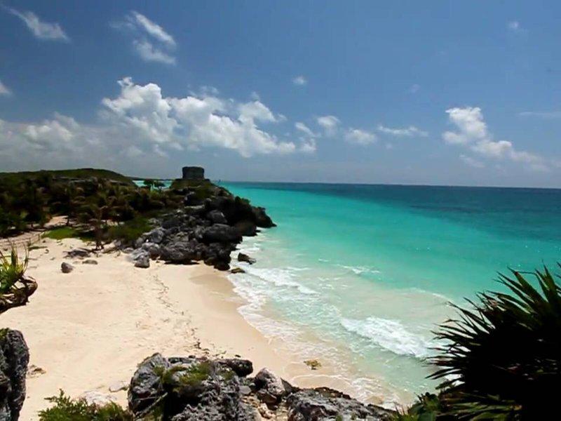 0161CB0D7FEAED0D9CE91640F7358D06