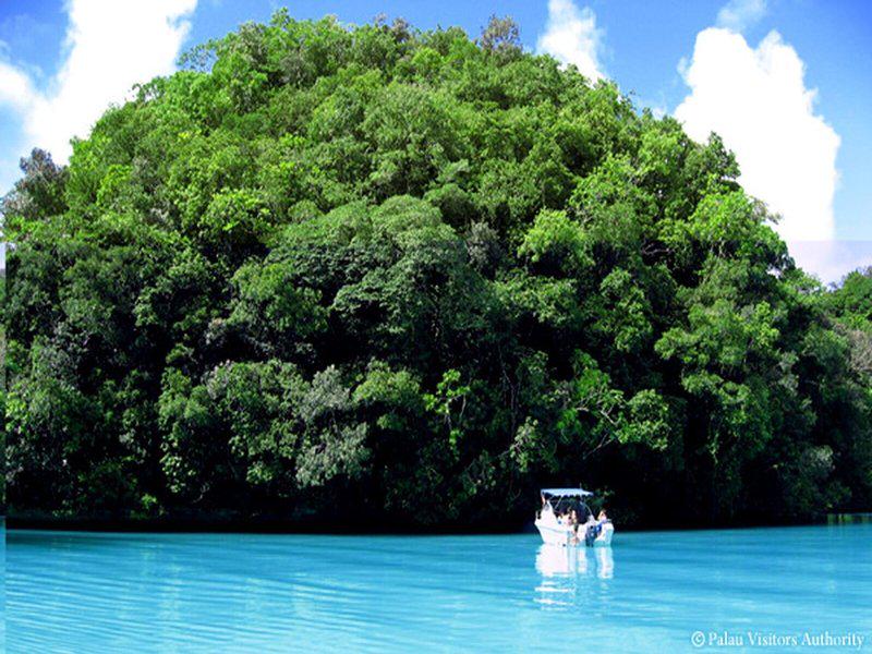 1B860A0D65ED664A99632751182C910C