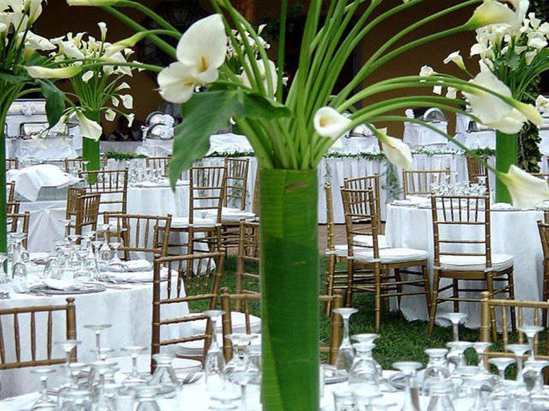 CFE79DF1C7BEF0528ED723B756CE7B67