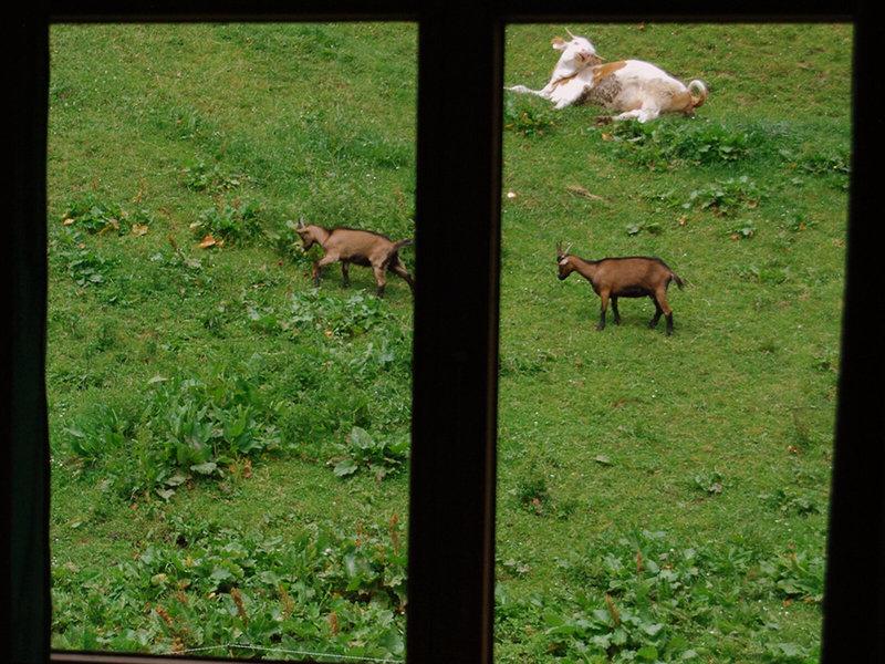 C9E669A1316A5BA1596D5D16648929F9