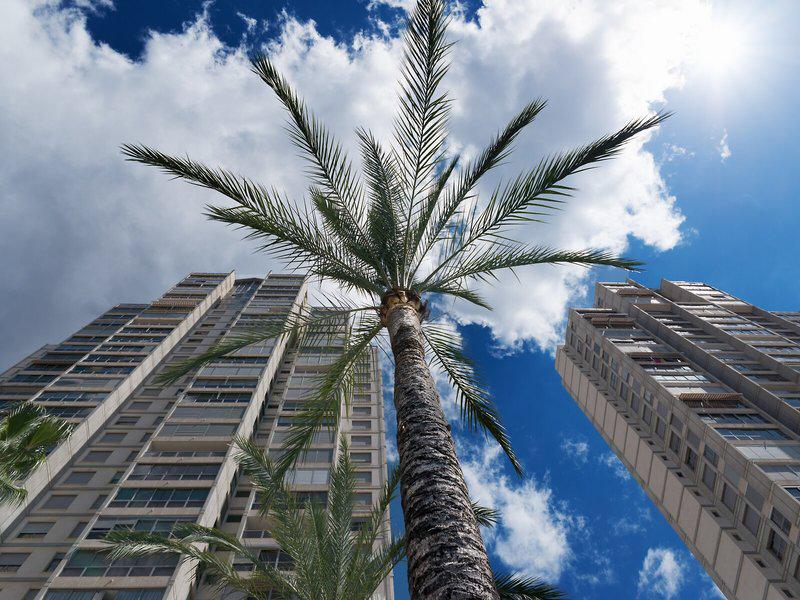 8D2ACC712CFF704CEF640E9B00762FA7