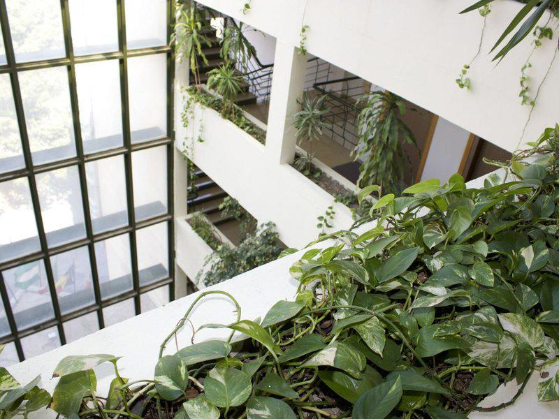 3EDD685C239A9A35FF70F49A12689D80