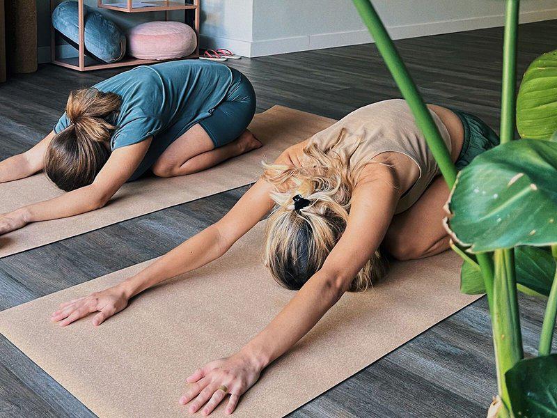 9C5233AA5419D29808A0A0115E2F1646