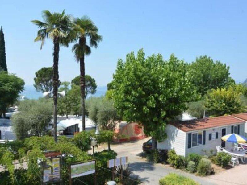 E6F4587BE225485BEFFAD0729FC7CC46