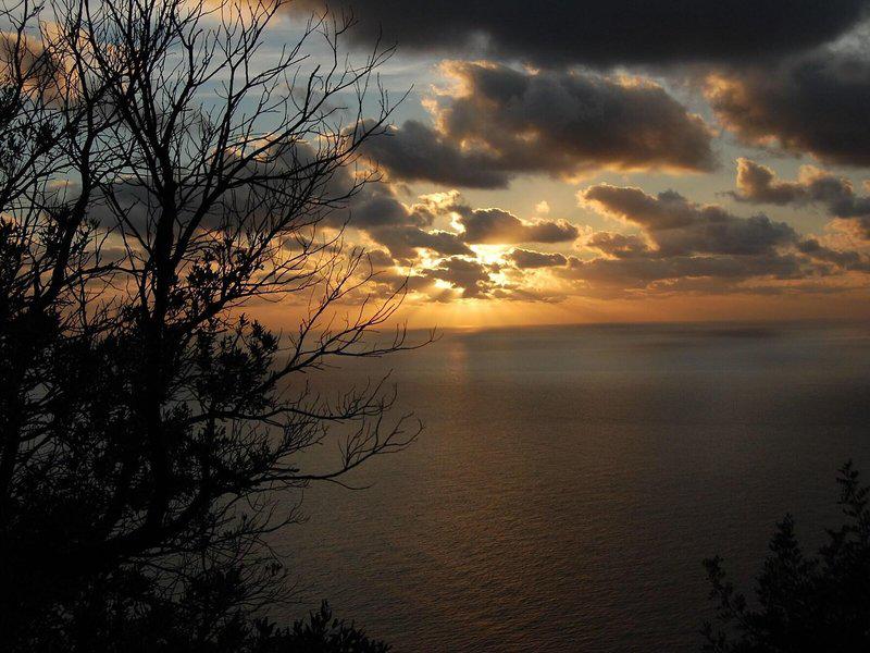 DF04590DB753F3F7C2C44F4480A06460