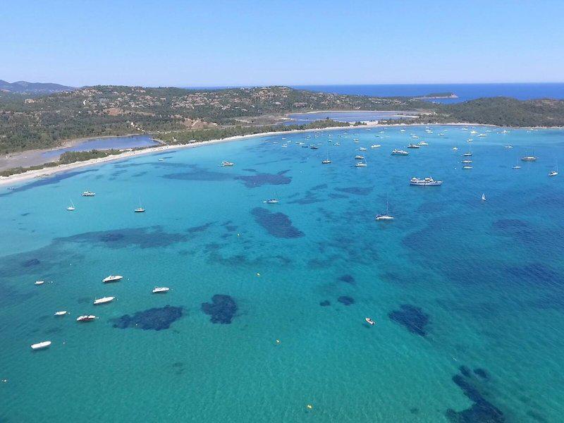 C2C79CB52DAFFACCB37D65C6A65726E9