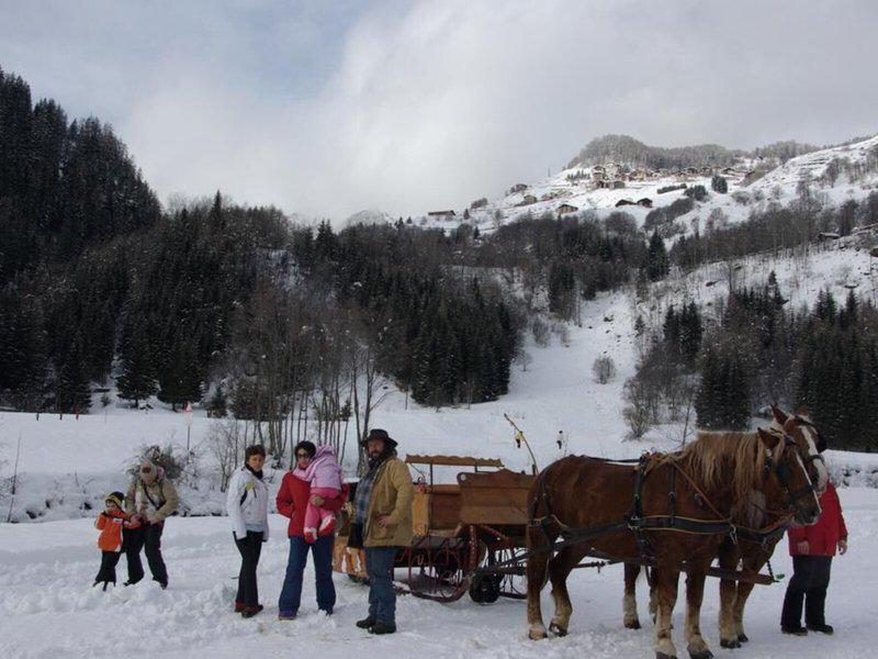 4C24B428962CE34079D2848574F2CCFC