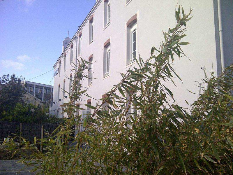 71CD4DAE58BB1A1265C68F2CE89EEF63