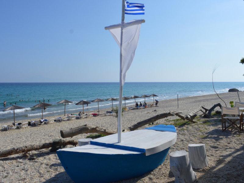 5E6D101EAC8C99273E92F2B7D1DD9355