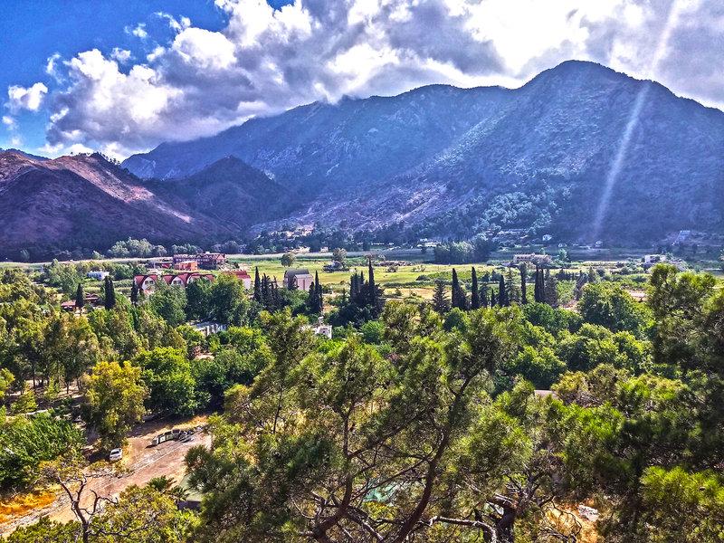 56A58F9291A86E4AEF2633A18A729256