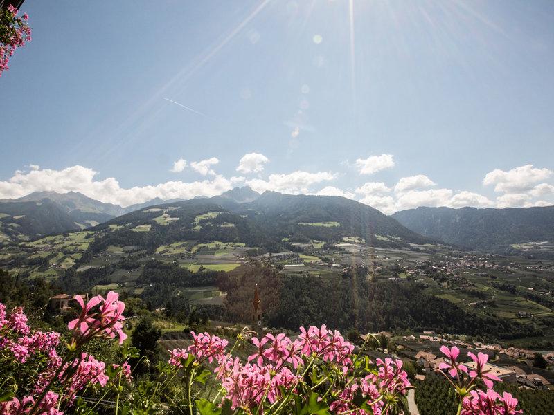 B30F4C66FF61F1771517F130DD1B4BDB