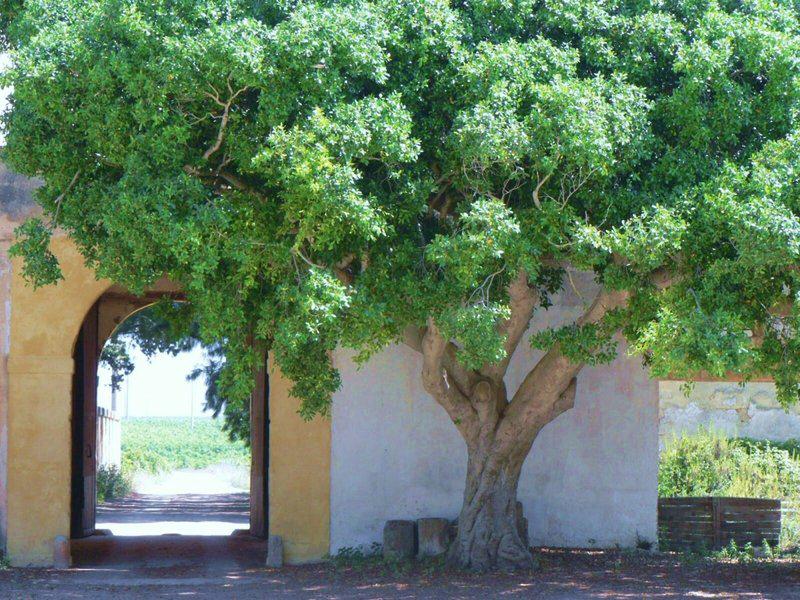 D894D10B80182B6C940FEFB70EFAD970