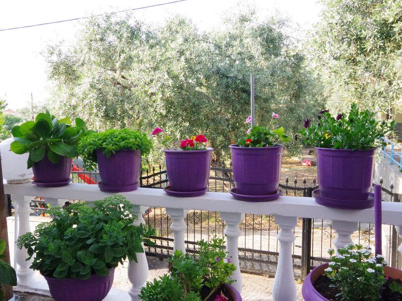 FDFAE0A9A7FE9DAD4585261FBF19B5AA