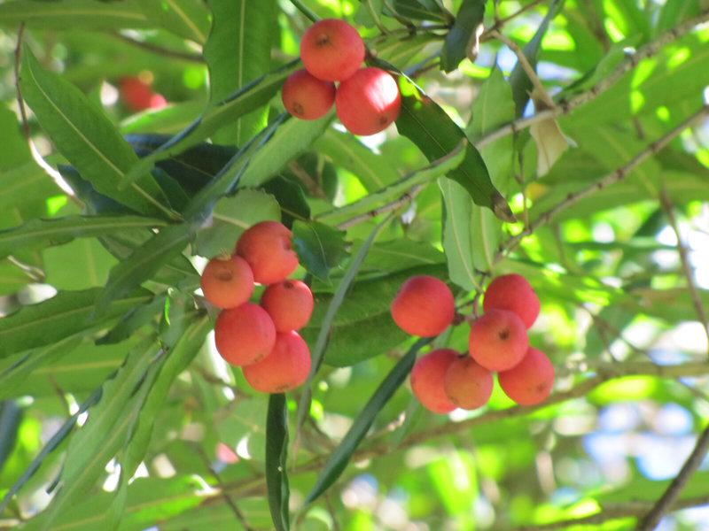 4DDAB666C145266E503D8A1A0215B984