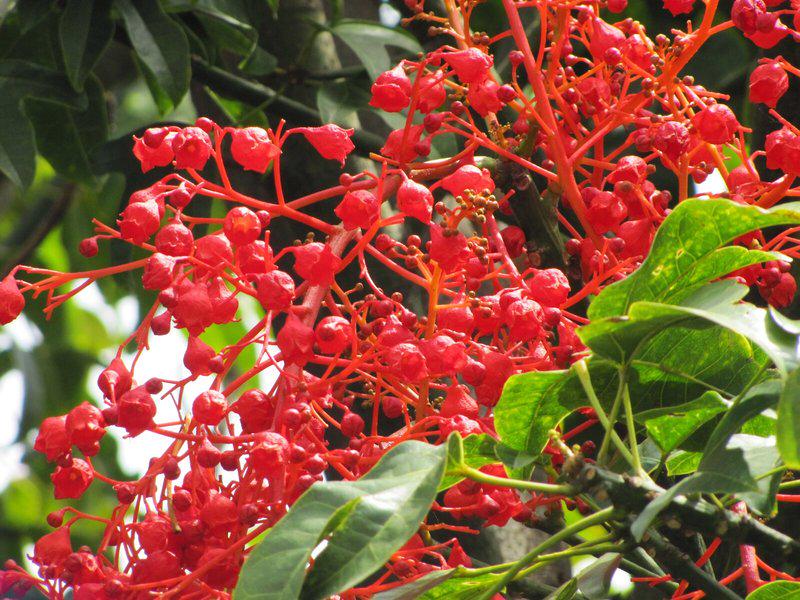 6FF9247E1D44C9BDEF547DC897B67119