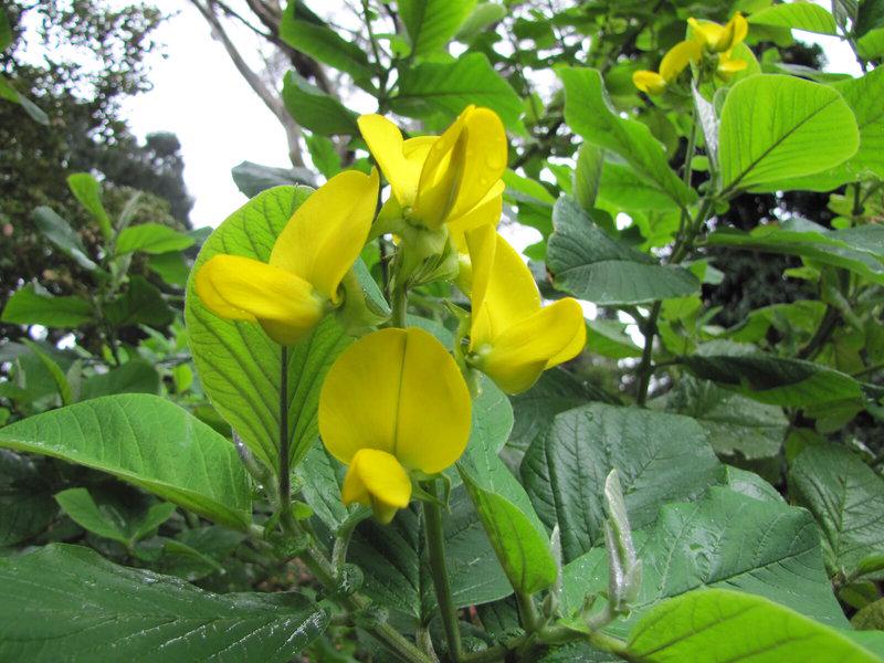 862753F1B3422CA8212D99861FE82983