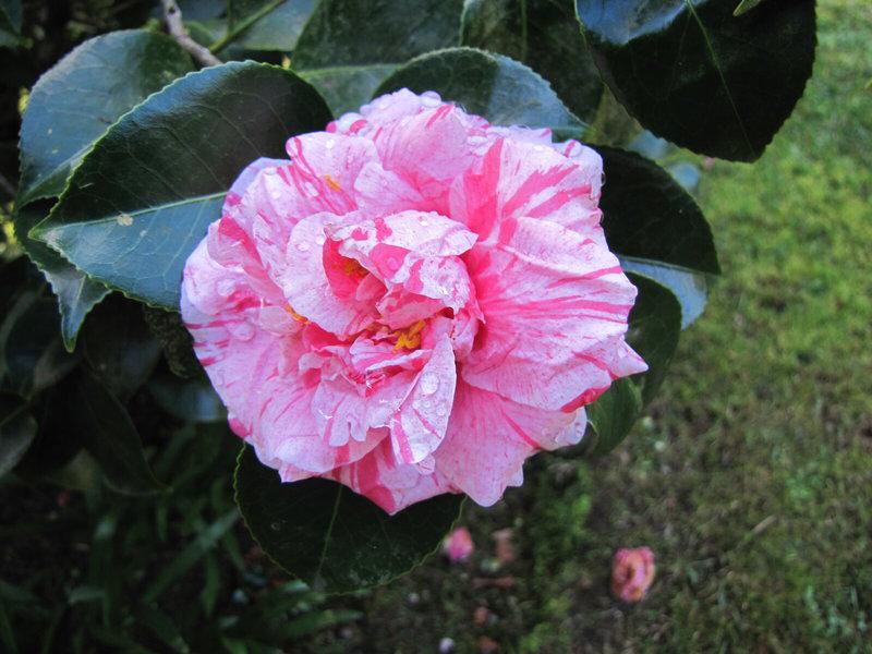 E90C9B3BAC3A235F2AFD6E2F90DACA34