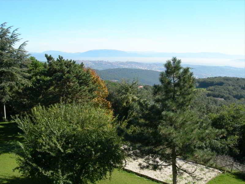 31F1E38EC31D7A0613483E543C3F6D0F