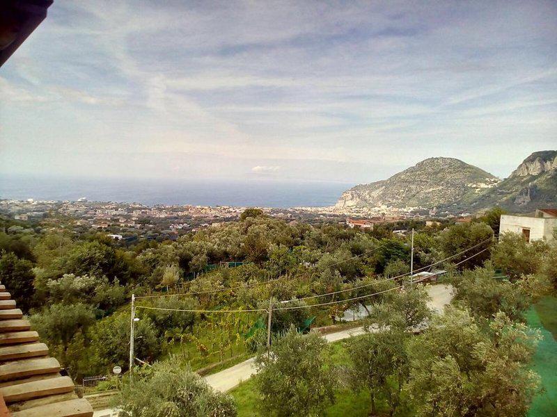 C84D656E16073E24A56BBF3905240F20