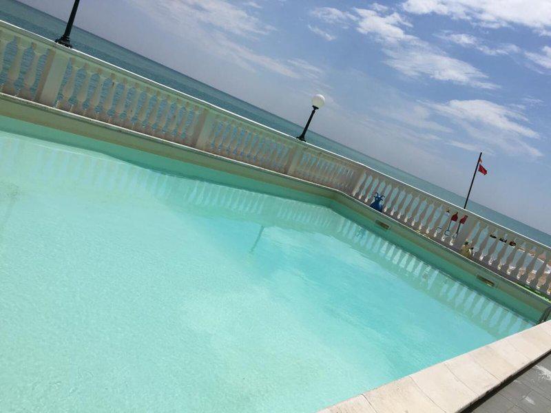 6A33C9A72C252274551B2D2861C3897A