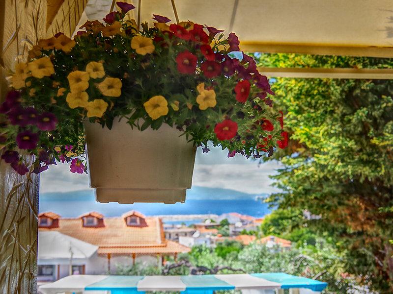 CE6D24988E2C70BA7D00DECA52D394FD