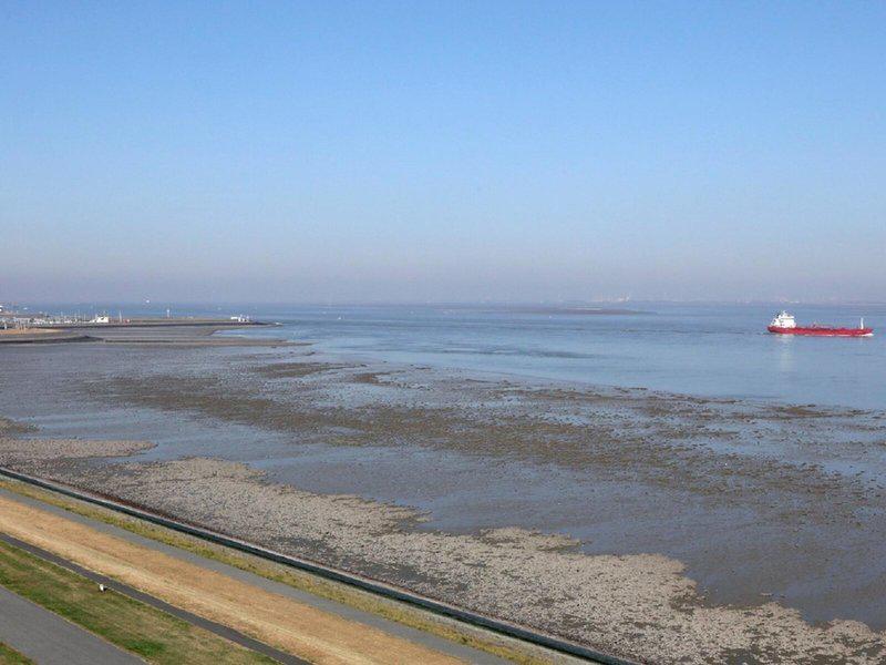 D8585EFE30DE1A23F5E802D8CCAC0362