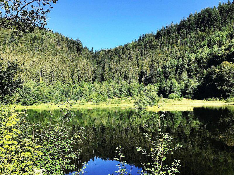 45146B8DD0E78AE6ED2941FD6345D9D4