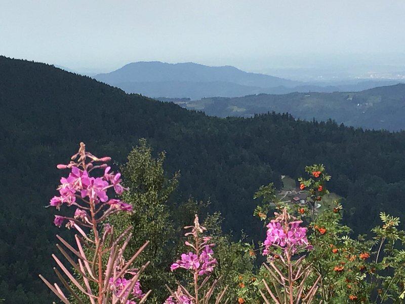 755C01507B96A9D051514827D9C67F87