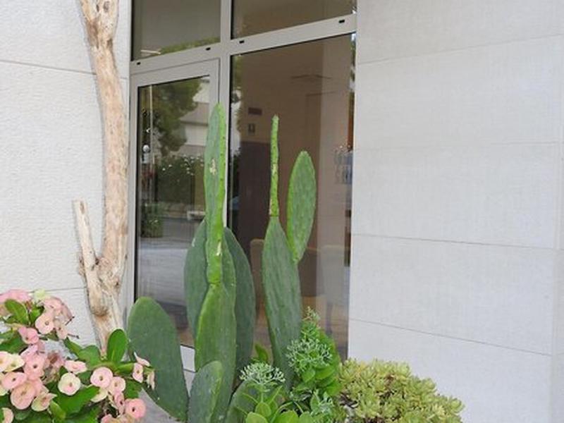 3E4CA4D5661660DEFEC1A311E9339D98