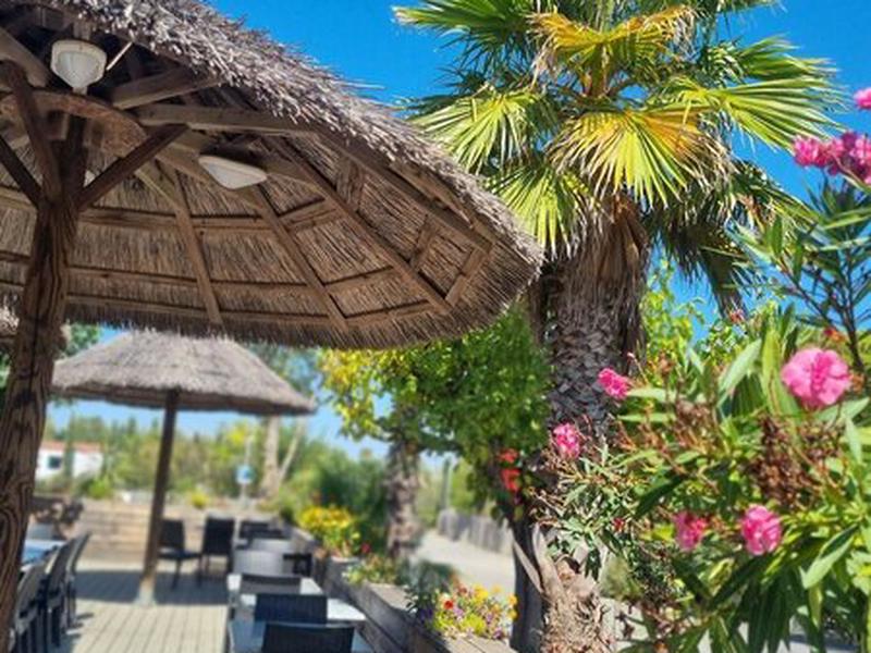 30F999DC3CD4900B68129185D79AA879