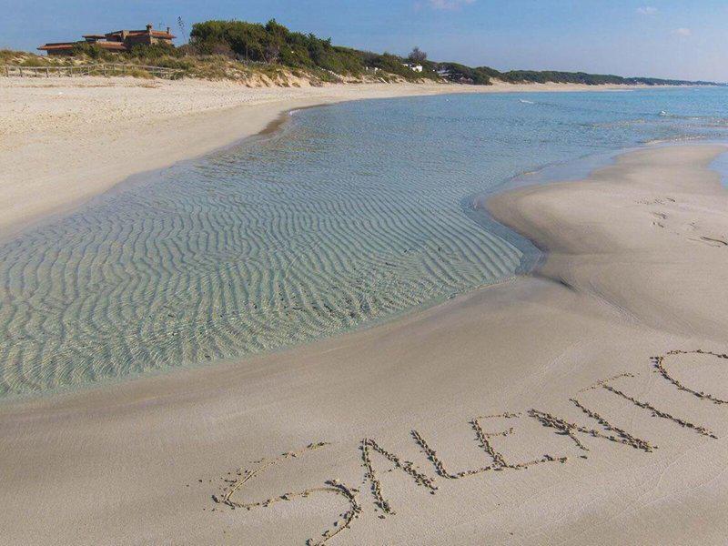 154B1AF96E4B3C19F08B6BA59E1B9097