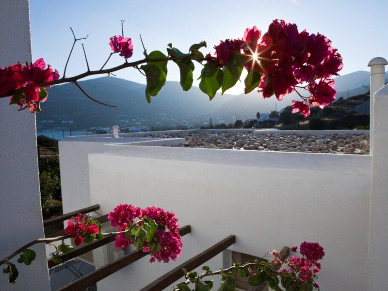 25BAAA7ADC5B755345E1870F352DDA96