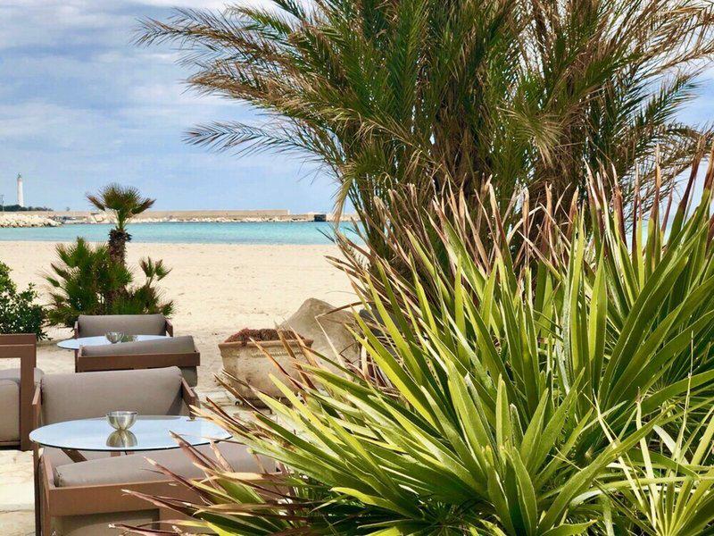 4552A7267D39FF7ED9FF0EF792D7A4E7