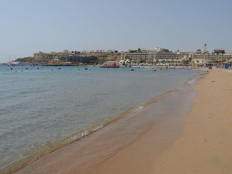 DFE98220AEC2093A8C8D998B95A289B1