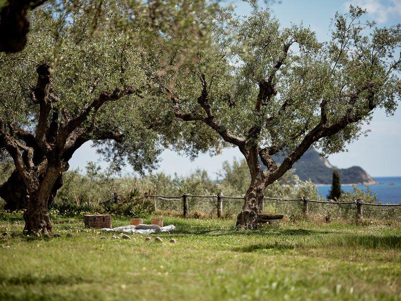 FB390056C39A66F33DF81F0D1424DE7C