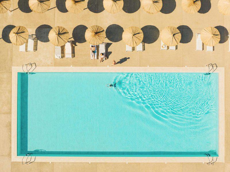 05585C77ECACE9AC070794C8990509D4