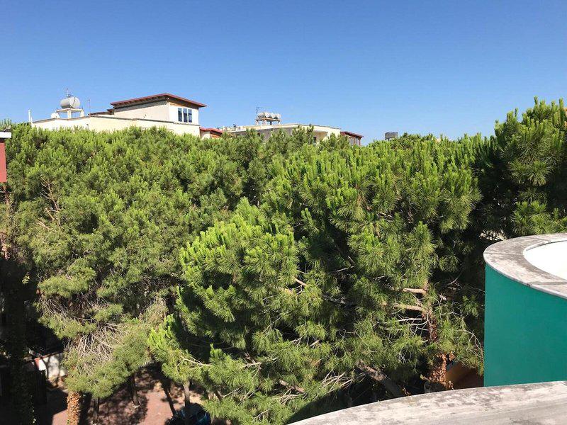 B34BEDC8E13C2704C12FF6B7888DDAB3