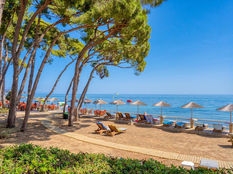 02F8CD3ACB17F3E74A5429906CC95AC5