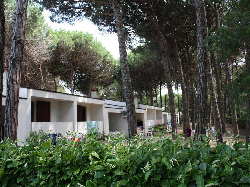 8823985A34B2A7F4C1F1FE5E3E0AE25D