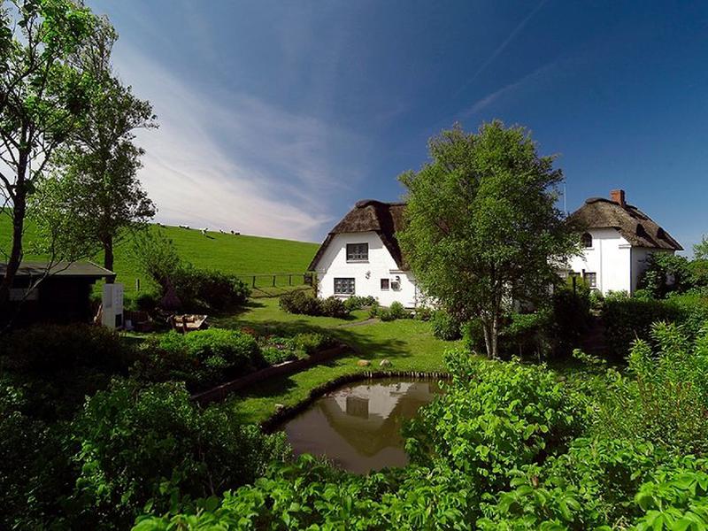 FF1008874EA4C115D6D44B6C58FF5857