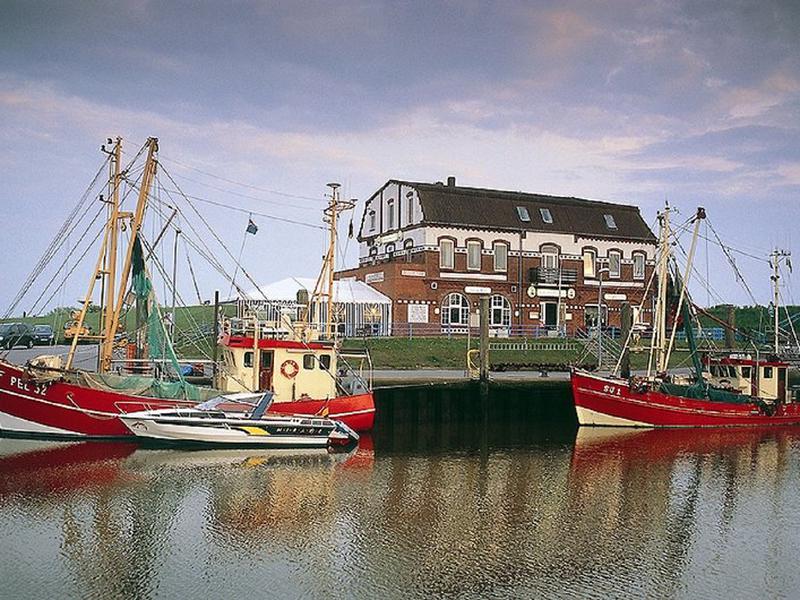 B7818B79C66FD9C83D232402372B7319