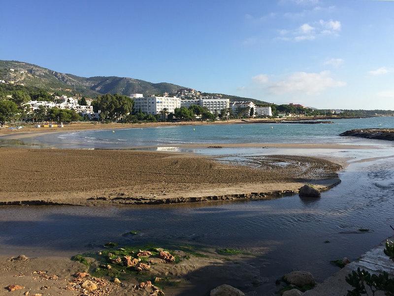 E88304F1F6222236C7F9C482F81C0BE2