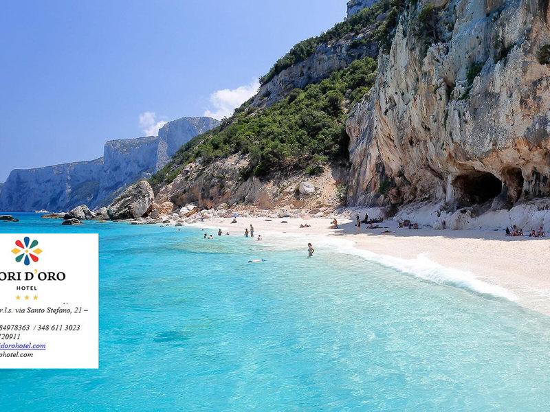 7928FBE0CDA02C0EA92FB7499B830B42