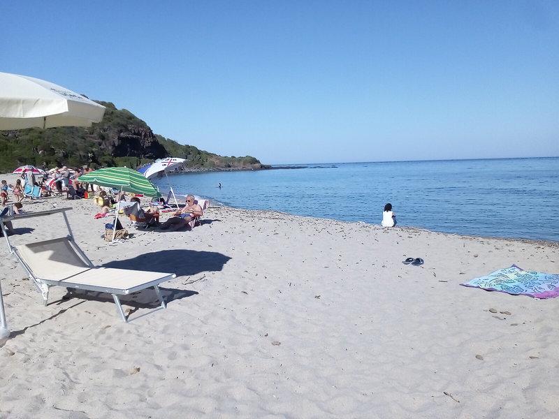 B26D231E39C4B0F1C7622CF88317224B