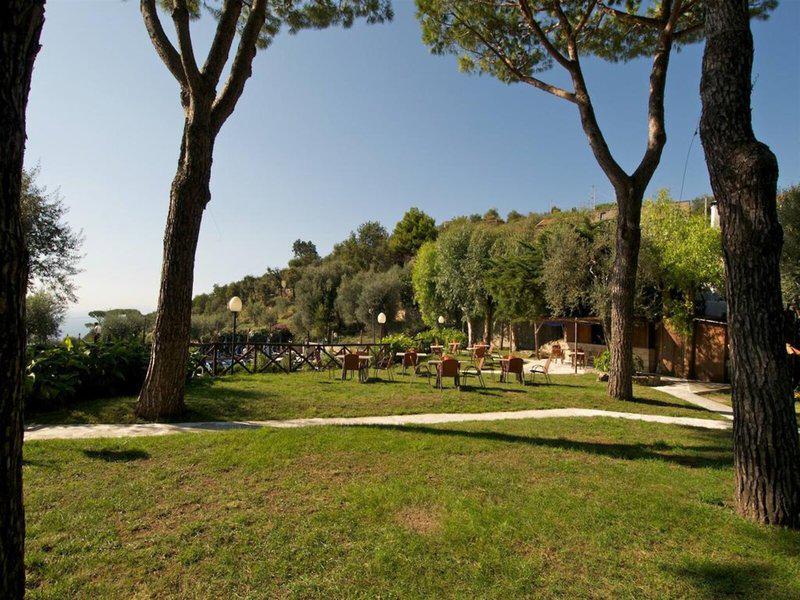 CE5E6588D33AEF2AC39580CD9B9DED8D